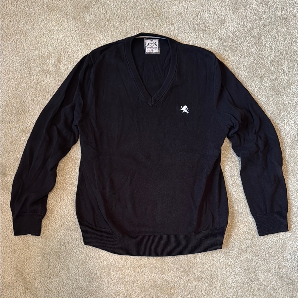 Express V-Neck Sweater